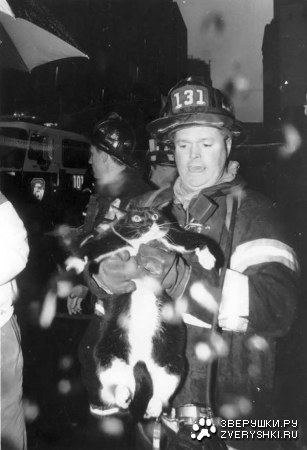 �������� �� ���� (10 ����)