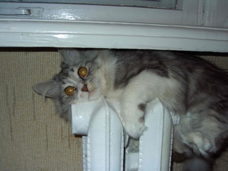 Ҹ���� ��������!