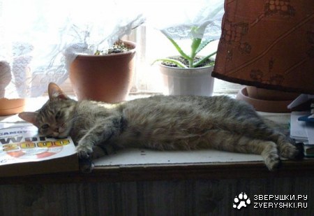 �����, �� ��-������� :)