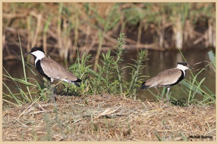 ������� � �������� �����!