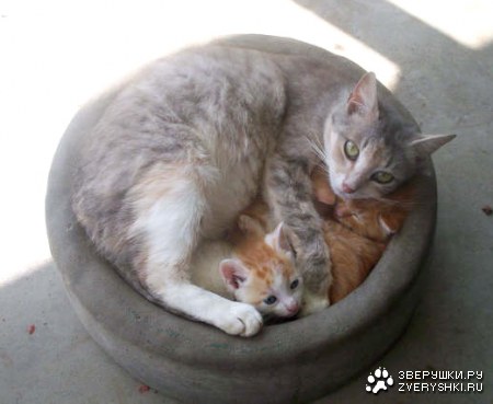 �������� ������� :)