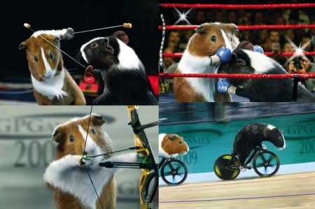 ������� ������ � ����� (9 ����)