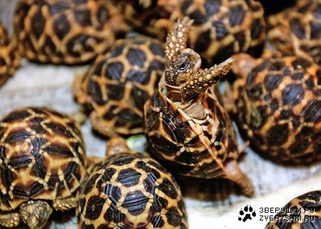 ��������� ������ ���! :)