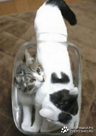 � �������, �� �� � ����� :)