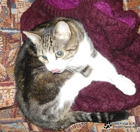 �������� ������ :)