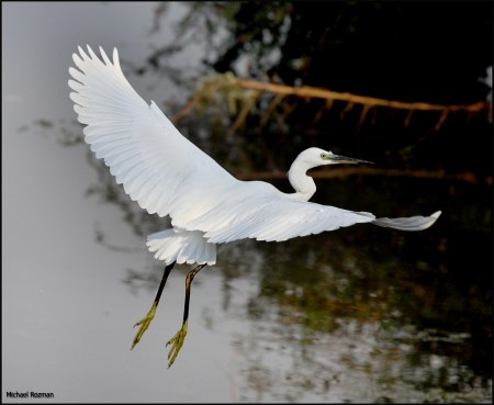 � ����� ;)