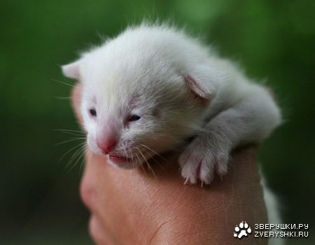 ��������� :)