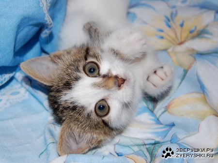 �������� ������ ;)