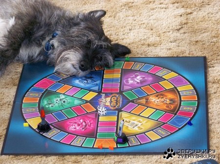 ��������� �� ����... ;)