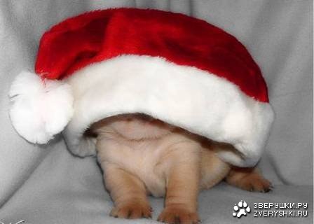 �������� �������� ;)