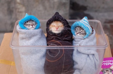 ���������� :)