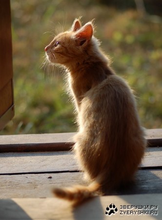 ����� � ����� ���������� ������... :)