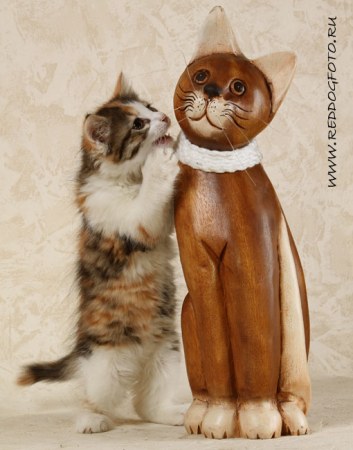 ������ - ������� ���� � ������� ����� (5 ����)