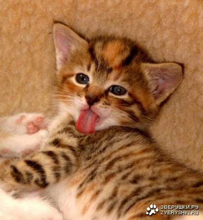 �������� ��� ��������! :)