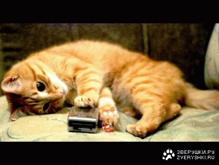 ������� ���, �������! :)