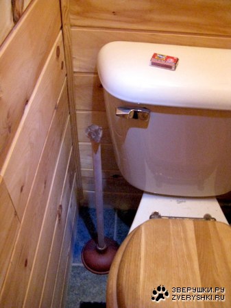 ��� ����� ��� �������� �������! :)