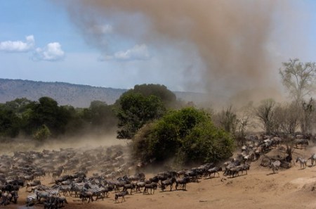 ����������� - ���� ������� ;)