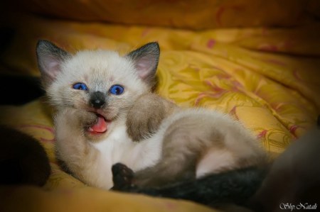 �������� ������! :)