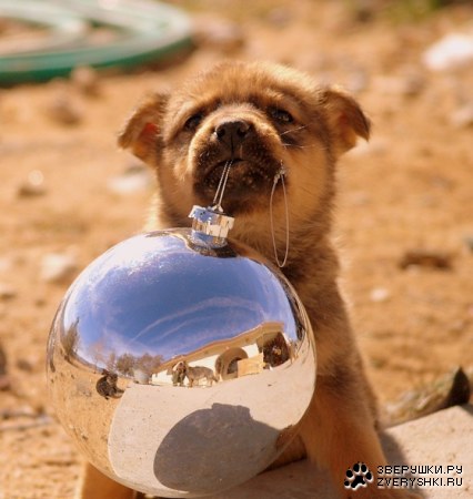 � �� ��� ���������� � ������ ����? :)