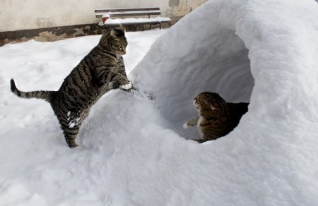 �������� � ������, ������? :)