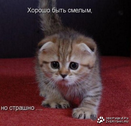 ��������� ���� ;)