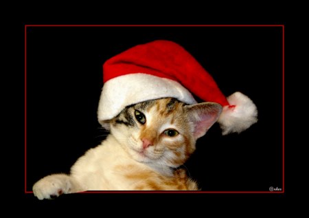 � ����� �� ���� ������? ;)