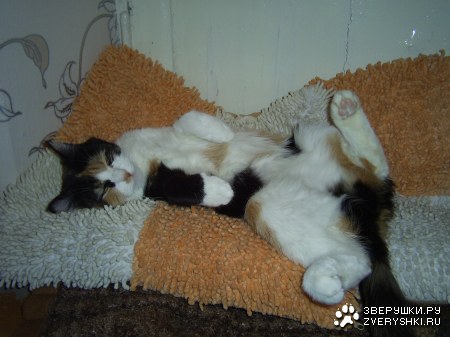 �����, ������ ����� � ������� :)