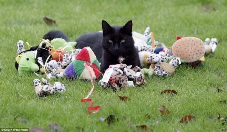 ���-��������� ;)