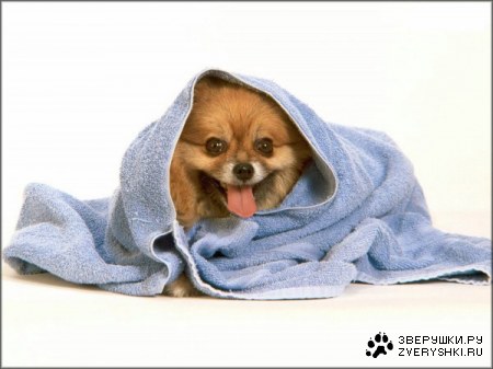 � ����� ����� :)