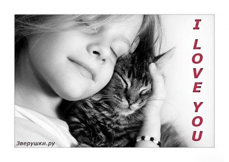 ��� ������...