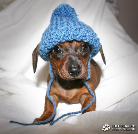 ����� � ���� � �������! :)