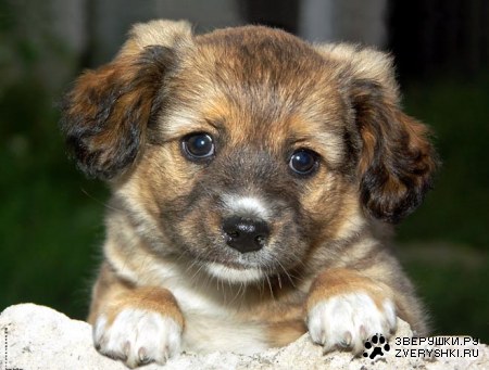 ������� :)