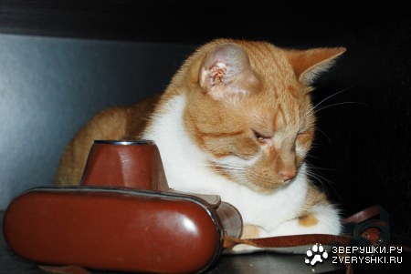 ���������� :)