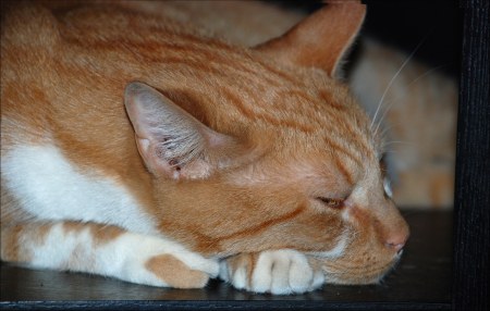 ���������� :)