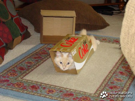 ������������ ������� :)