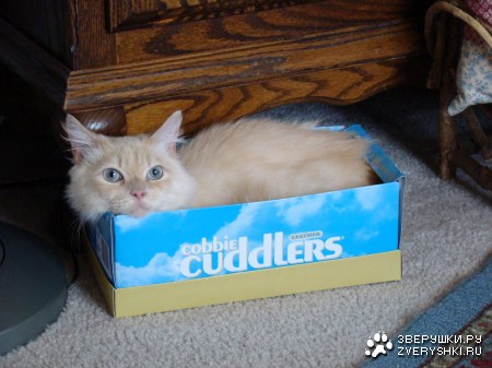 ������������ ������� :)