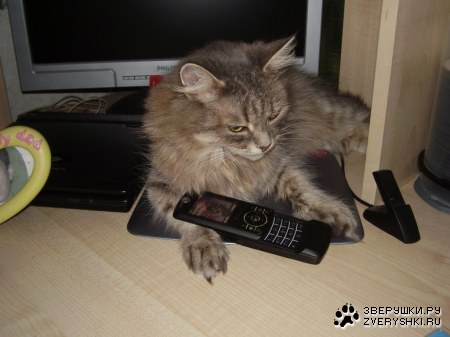 ������� ���, ������� :)