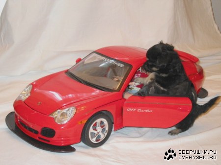 ������� ��������? ;)