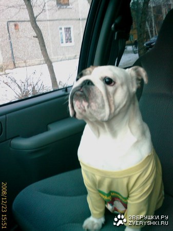 ���������� ������� "����" :)