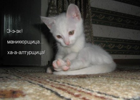 ��������� ���� ;)