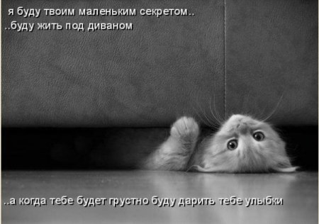 ��������� ���� ;)