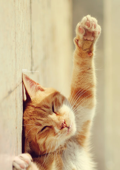 ������ � ������� :)