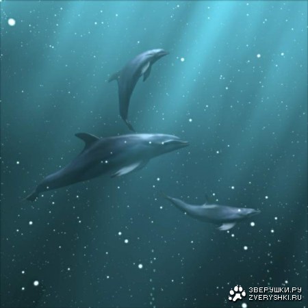 �������� :)