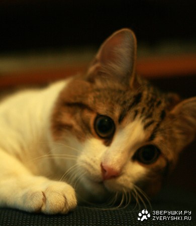 �������!