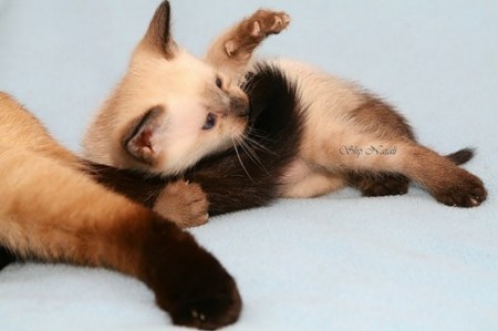 ������� �� ����� ����� ;)