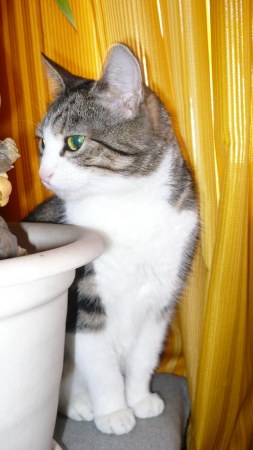 ������ �� �������� ������ �������� :)