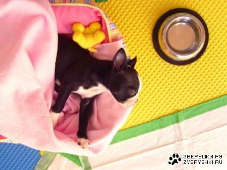 ���� ��������� �������� ;)