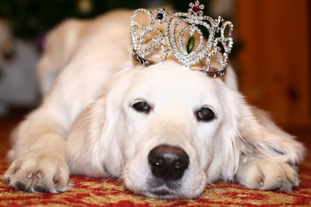 �������� :)