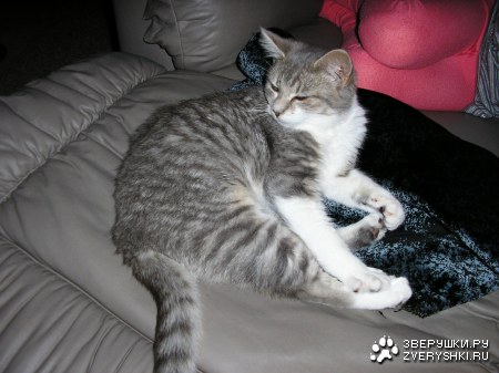 �� ������� ��� �����! ;)