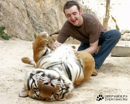 ��������-�� ��� ������ ;)